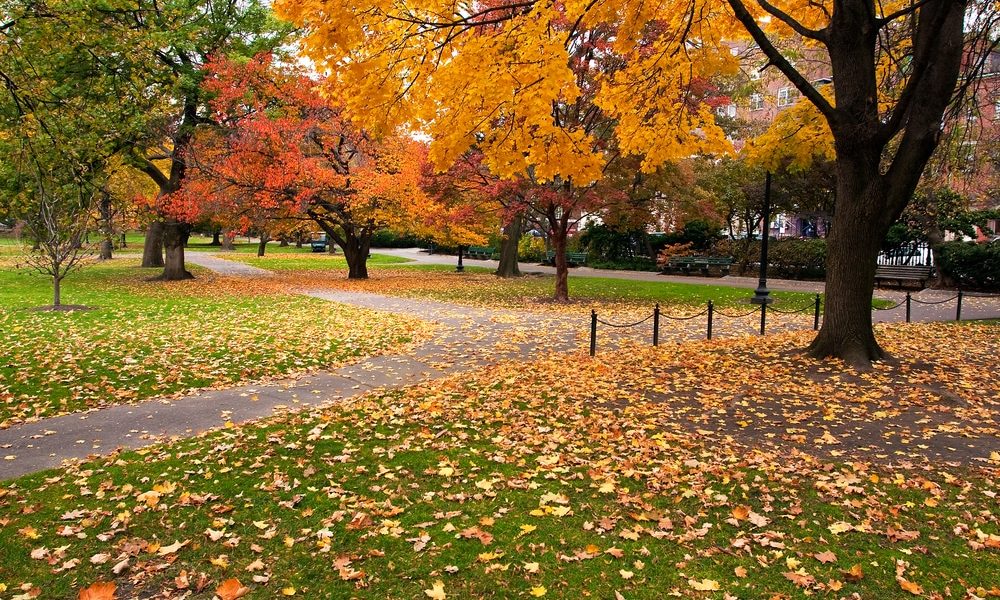 Boston,Public,Garden,In,The,Fall,Season.